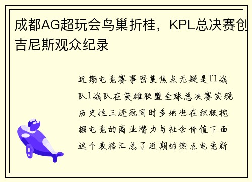 成都AG超玩会鸟巢折桂，KPL总决赛创吉尼斯观众纪录